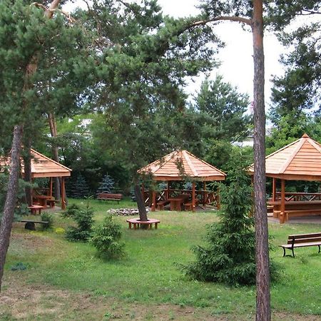 Hotel U Witaszka Czosnów Εξωτερικό φωτογραφία